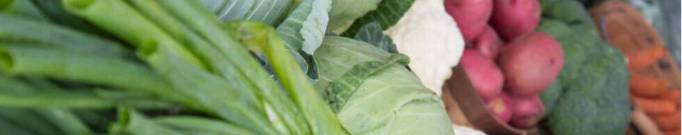 Multiple kinds of vegetables